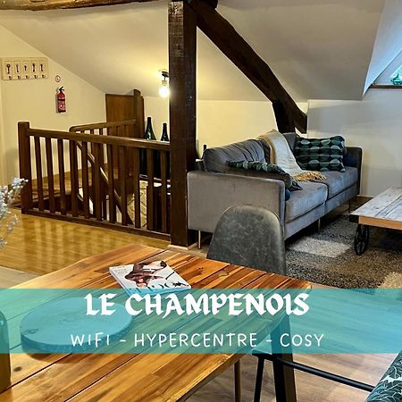Ferienwohnung Le Champenois, Avenue De Champagne Épernay Exterior foto